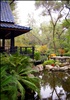 Japanese Garden at Descanso, L.A.